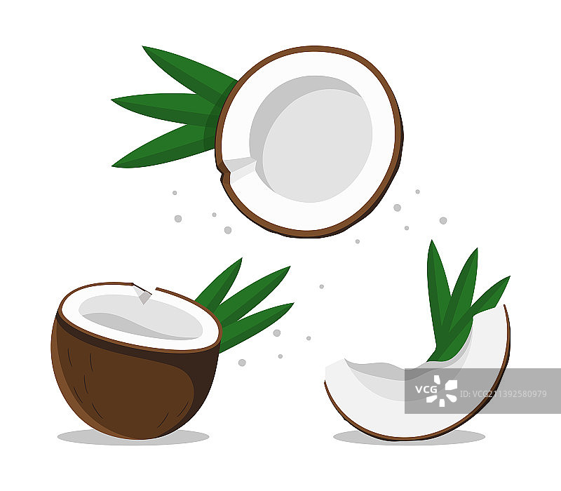 三种不同类型的椰子图片素材