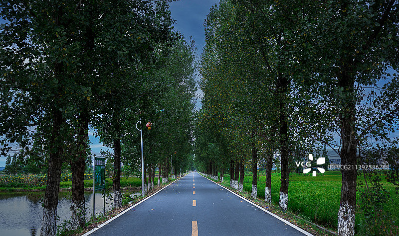 乡村公路图片素材