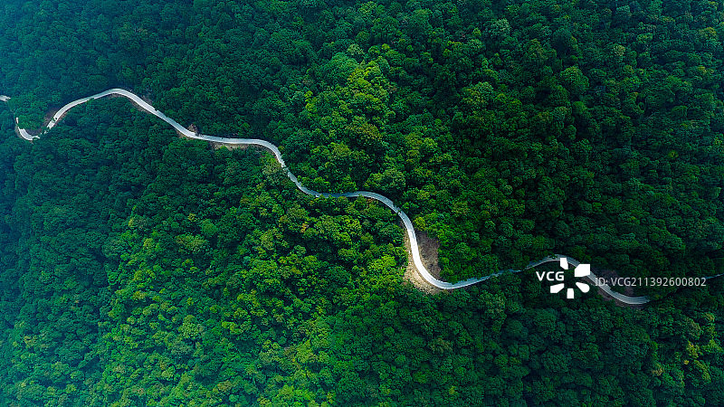 绿色交响图片素材