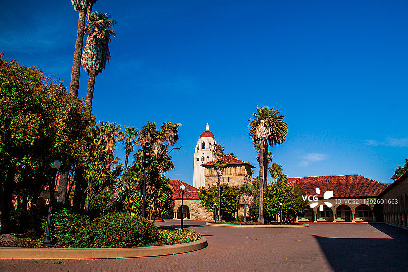 斯坦福大学校园图片素材