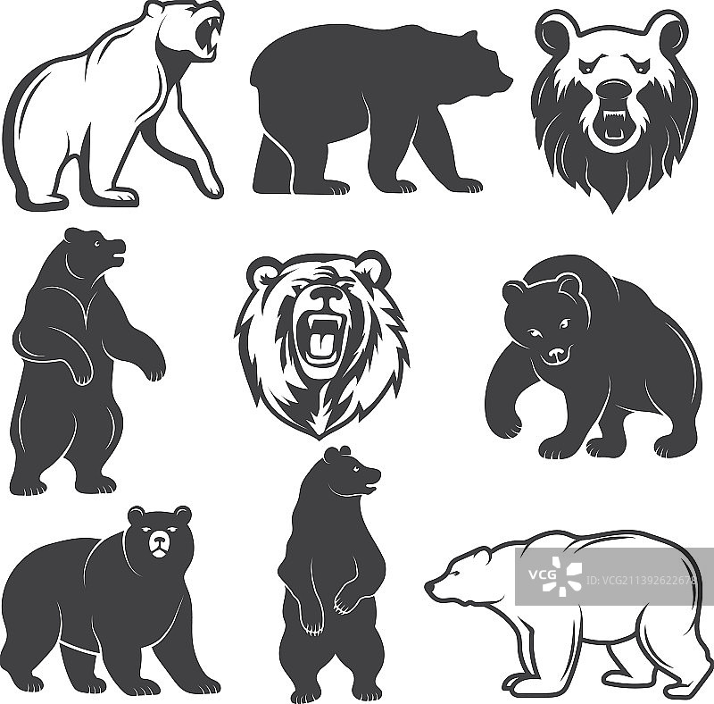 单色程式化熊图片集图片素材