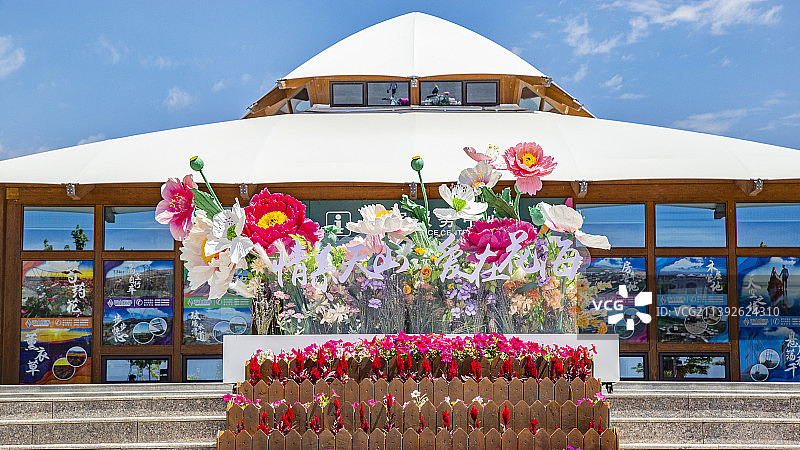 新疆伊犁薰衣草花海图片素材