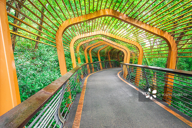 福山郊野公园里的紫藤廊架图片素材