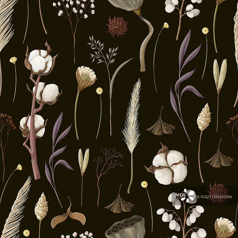 秋季干花无缝图案图片素材