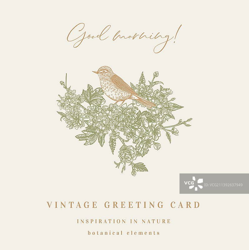 花卉摆件与柳莺图片素材