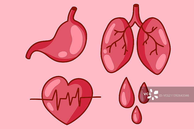 器官血液心脏肺胃合集图片素材