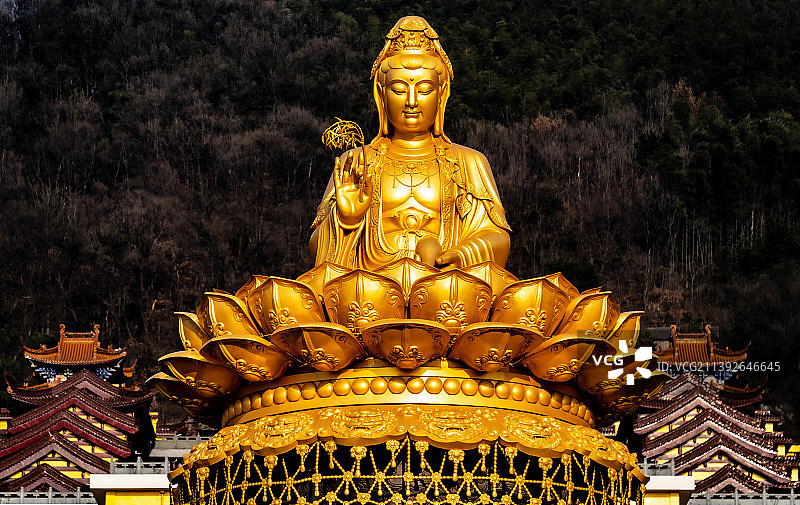 观音坐莲图片素材