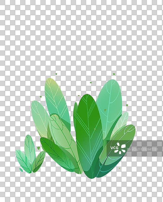 绿植图片素材