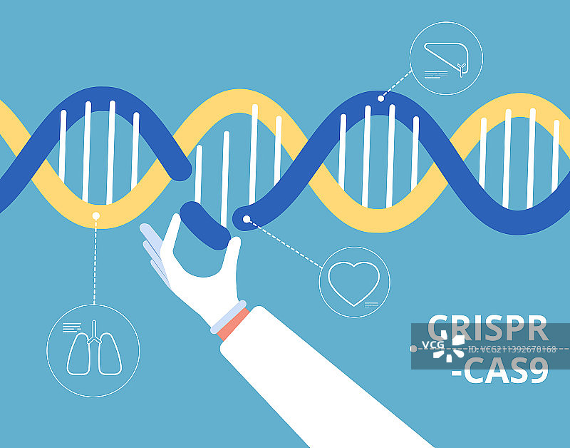 Crispr Cas9概念生化工程图片素材