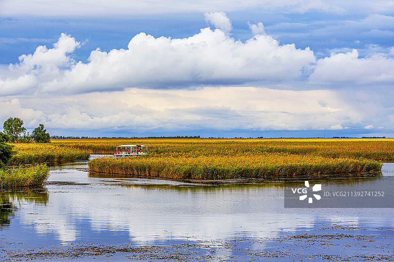 扎龙湿地秋色图片素材