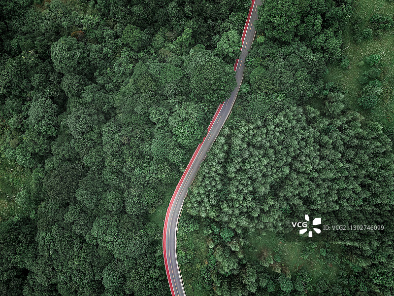 林间道路图片素材