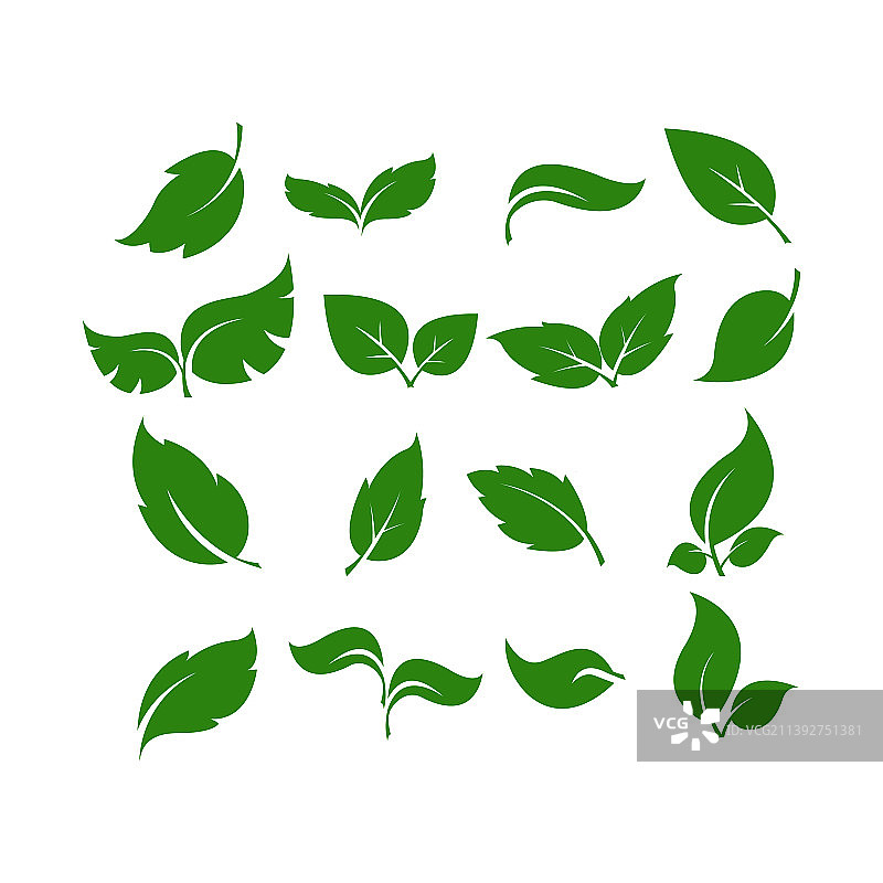 简约扁平风格绿叶套装图片素材