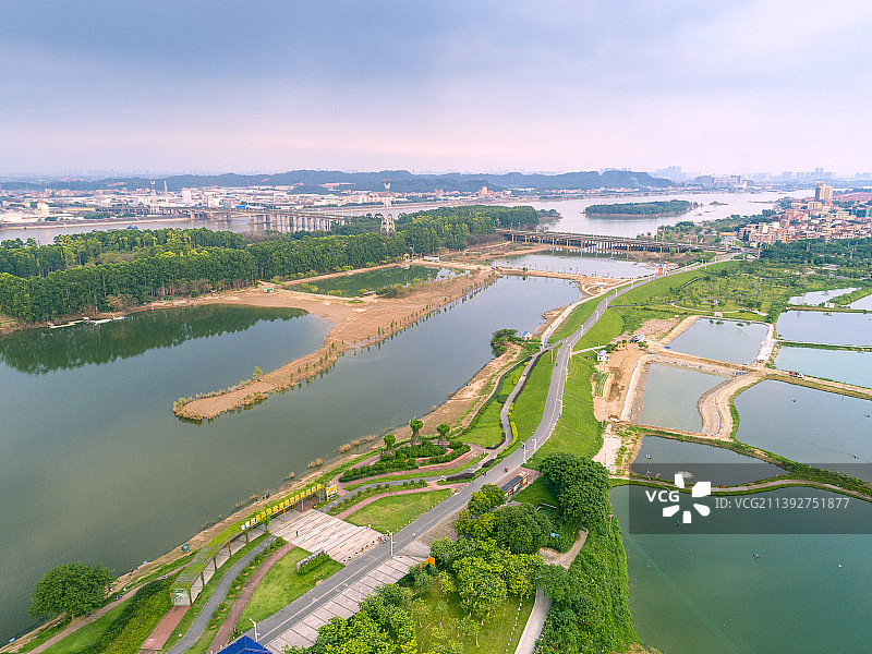 佛山市金沙岛国家湿地公园图片素材