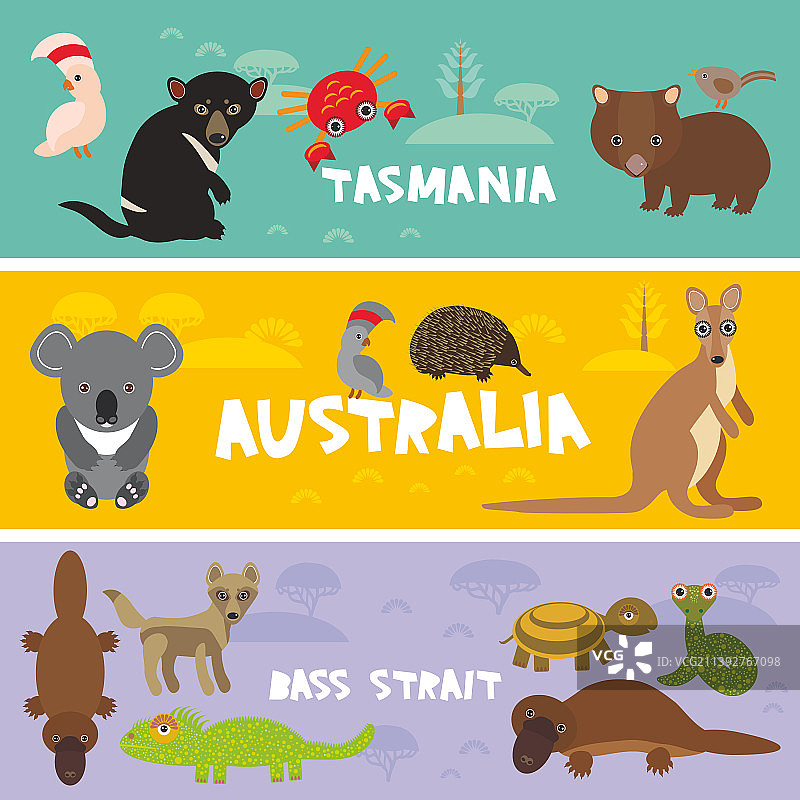 可爱动物集合：针鼹、考拉、鸭嘴兽、袋獾图片素材