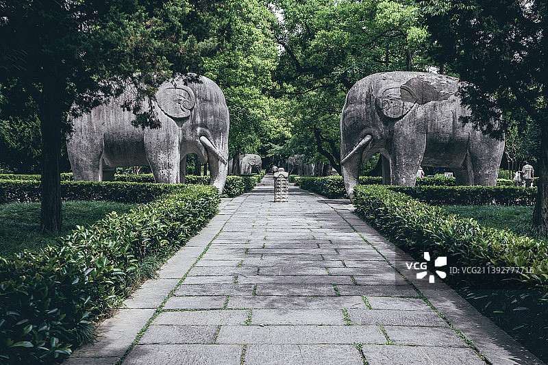 南京明孝陵风景区石象路图片素材
