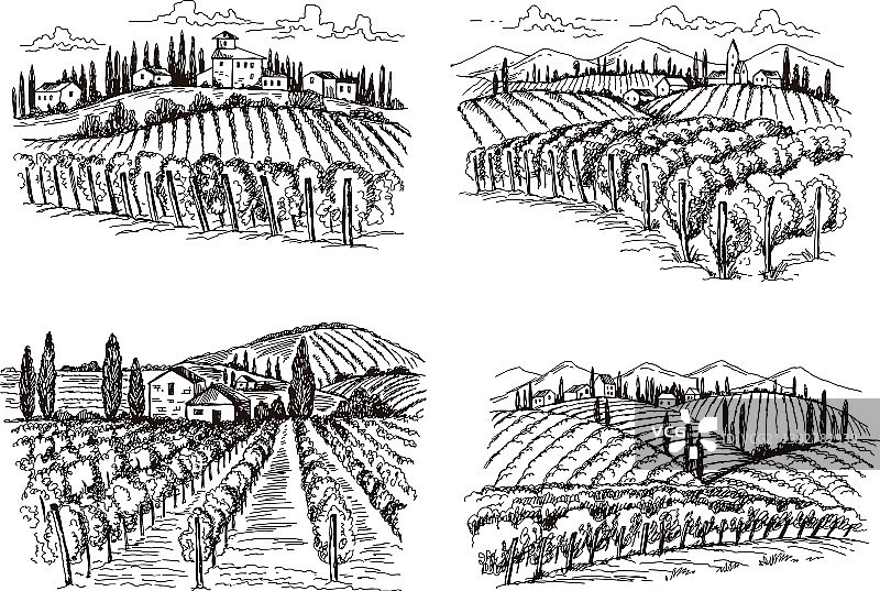 法国古堡葡萄酒庄园手绘景观图片素材
