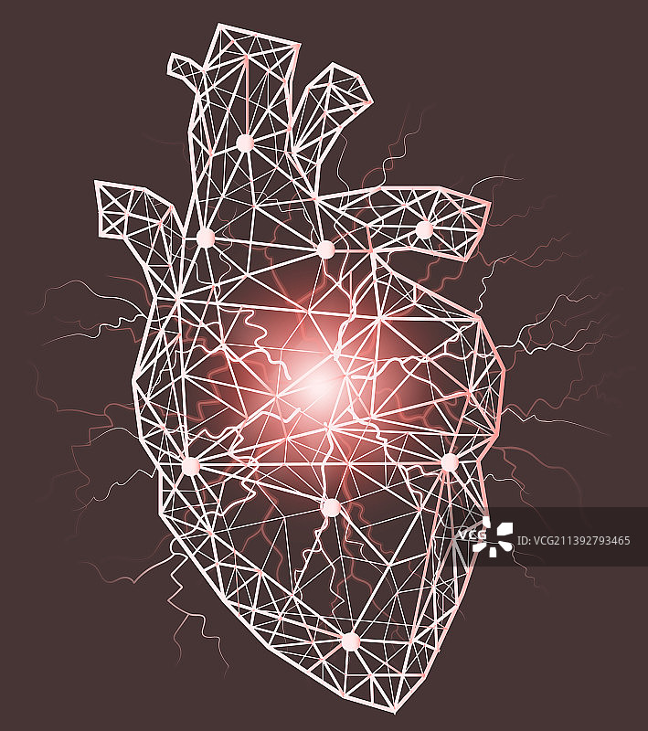 疼痛区域的人体心脏解剖图图片素材