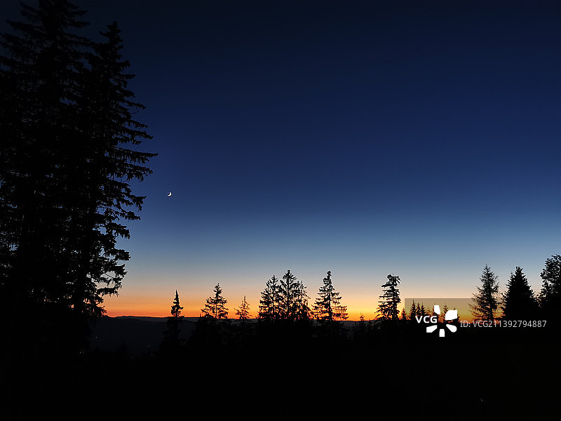 日落时树木映衬天空的剪影图片素材