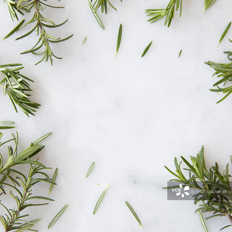 桌面迷迭香特写图片素材