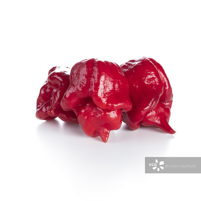 白色背景下的红色辣椒特写图片素材