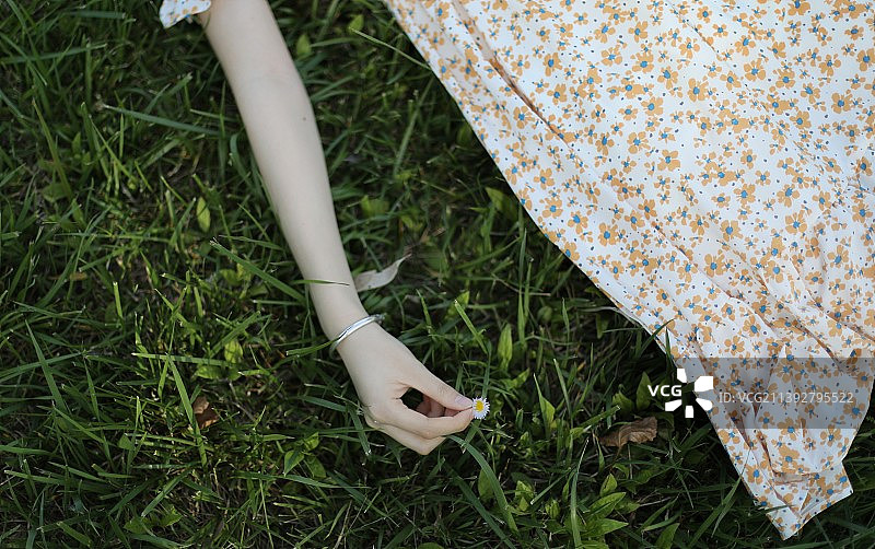 森林的小鹿图片素材