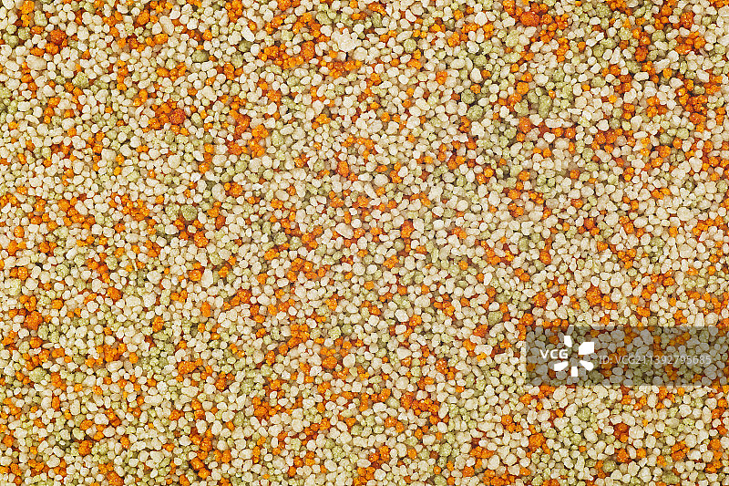 黄色开花植物全幅图片素材