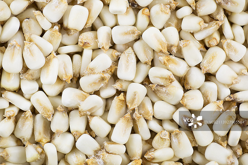 大蒜的全景照片图片素材