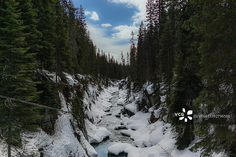 加拿大库特尼国家公园雪景风光图片素材