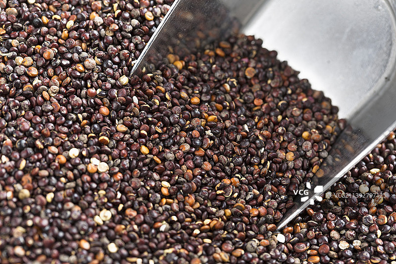 咖啡豆特写图片素材