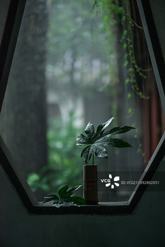 夏日雨天小景图片素材