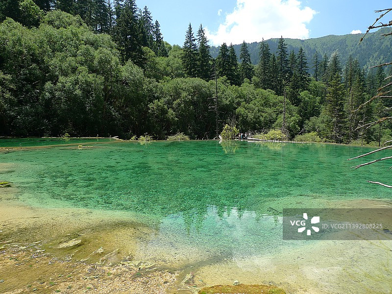 四川阿坝九寨沟县神仙池景区, 仙女沐浴, 川西风光图片素材