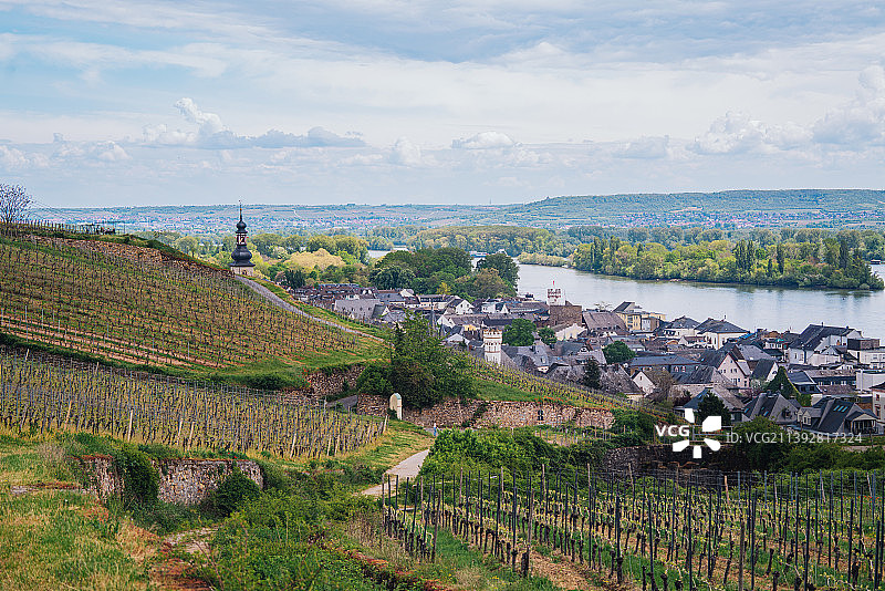德国莱茵河谷，吕德斯海姆小镇全貌，被誉为“莱茵河上最耀眼的明珠”图片素材