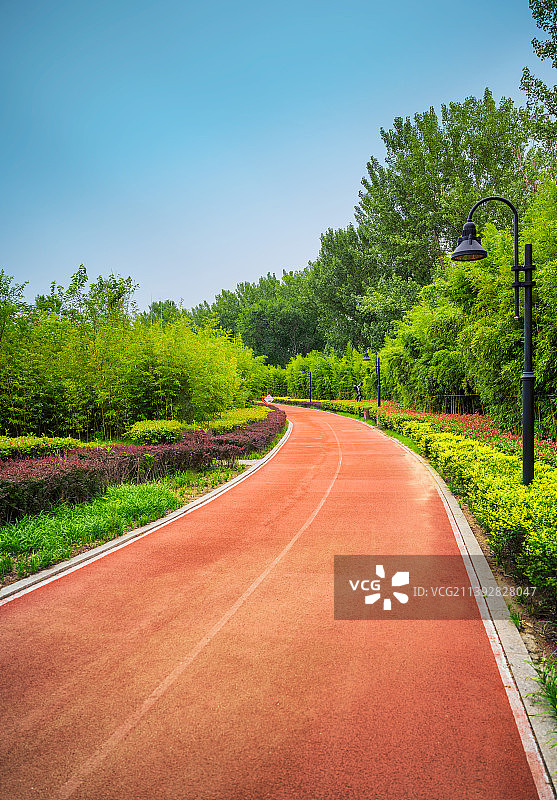 竖图青岛奥利匹克雕塑公园弯曲塑胶跑步健身跑道图片素材