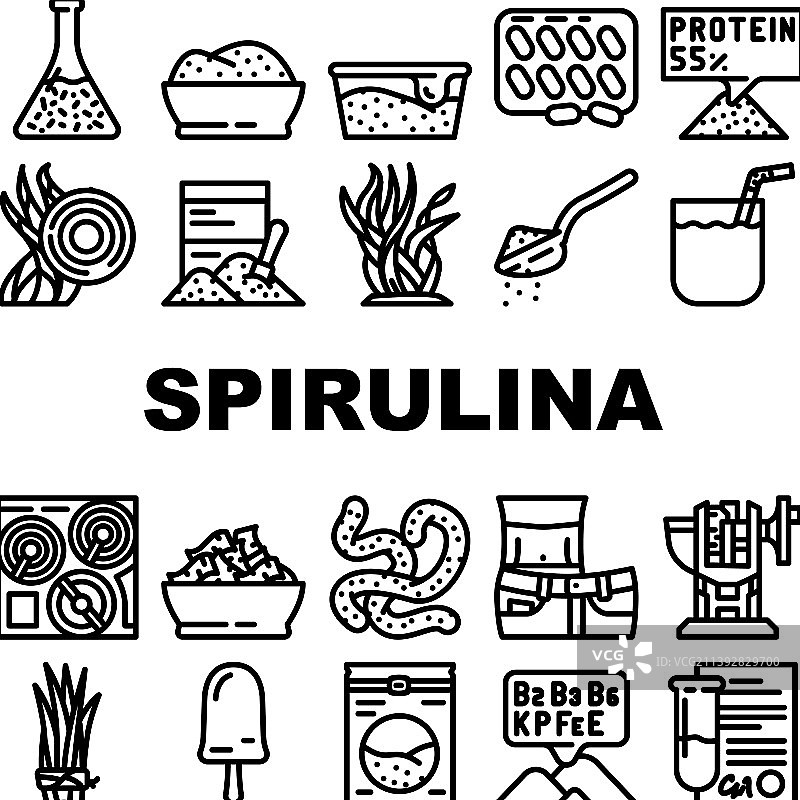 螺旋藻营养成分图标集图片素材