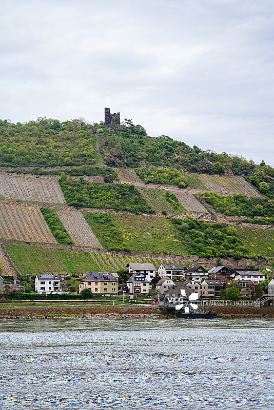美丽的德国莱茵河与葡萄园小镇自然风光图片素材