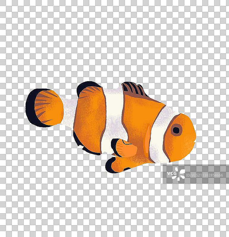 小丑鱼手绘插画图片素材