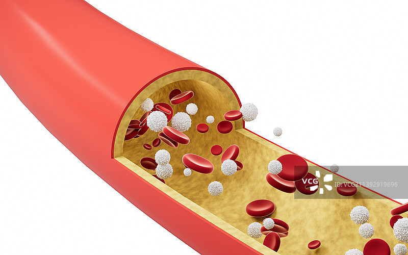 血管中的红细胞和白细胞3D渲染图片素材