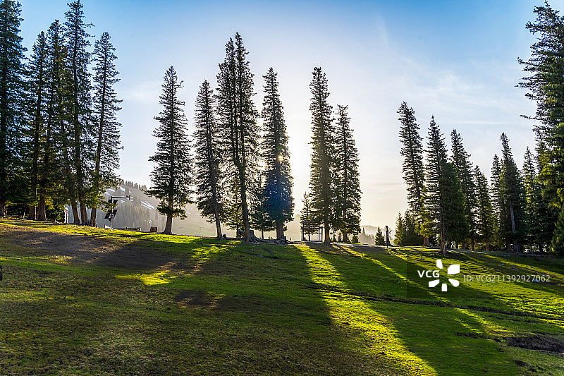 新疆伊犁那拉提草原风光图片素材
