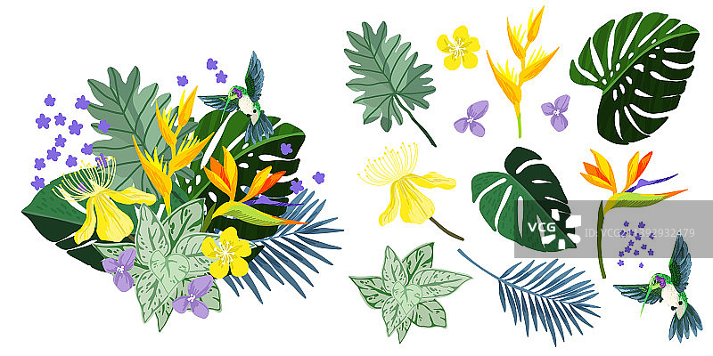 茂盛的热带花卉叶子花束图片素材