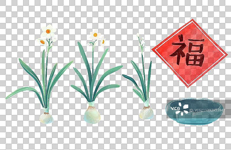 水仙花图片素材