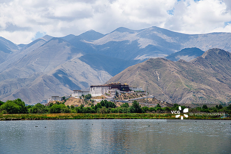 中国西藏，远望布达拉宫建筑风光，前景为拉鲁湿地图片素材