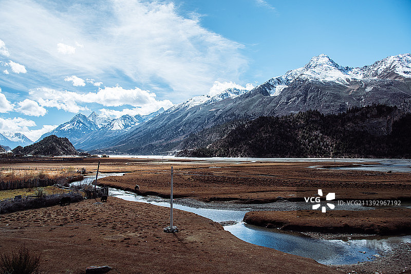 中国西藏，雅鲁藏布江流域的草原湿地图片素材