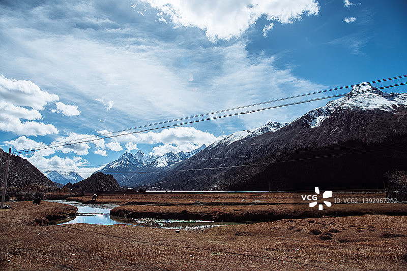 中国西藏，雅鲁藏布江流域的草原湿地图片素材