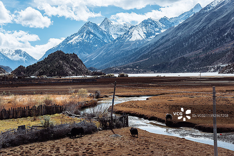 中国西藏，雅鲁藏布江流域的草原湿地图片素材