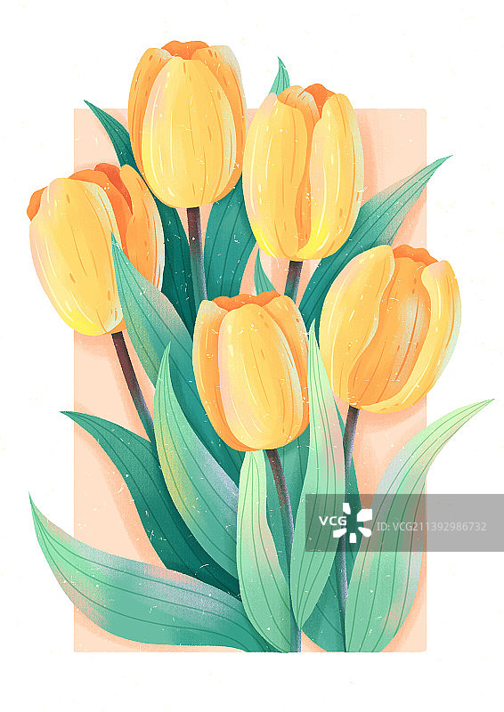 轻质感扁平植物花卉郁金香插画图片素材