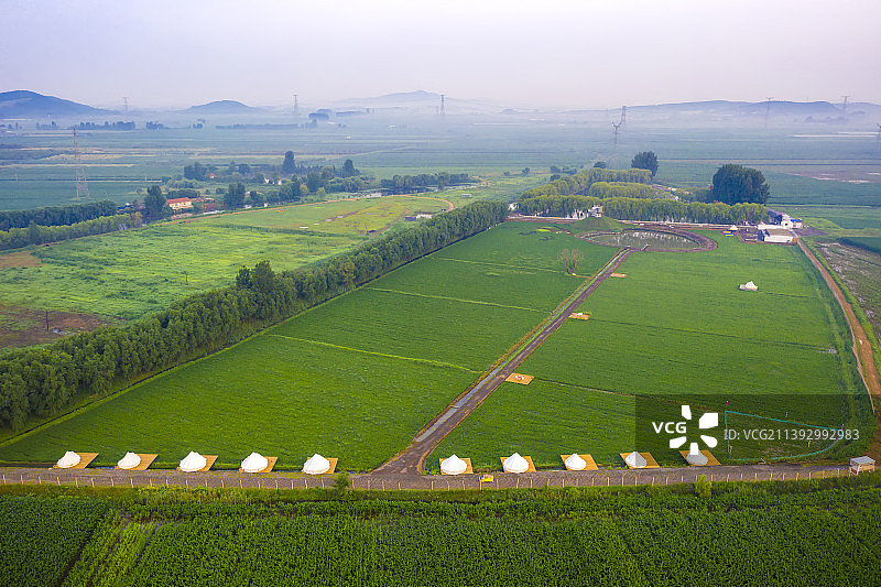 大连瓦房店-苍鹭湾-稻田画图片素材