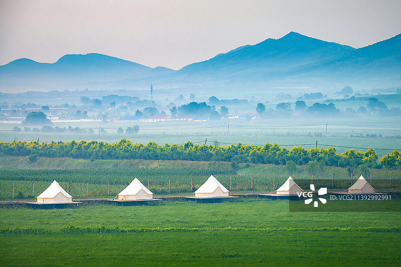 大连瓦房店-苍鹭湾-稻田画图片素材