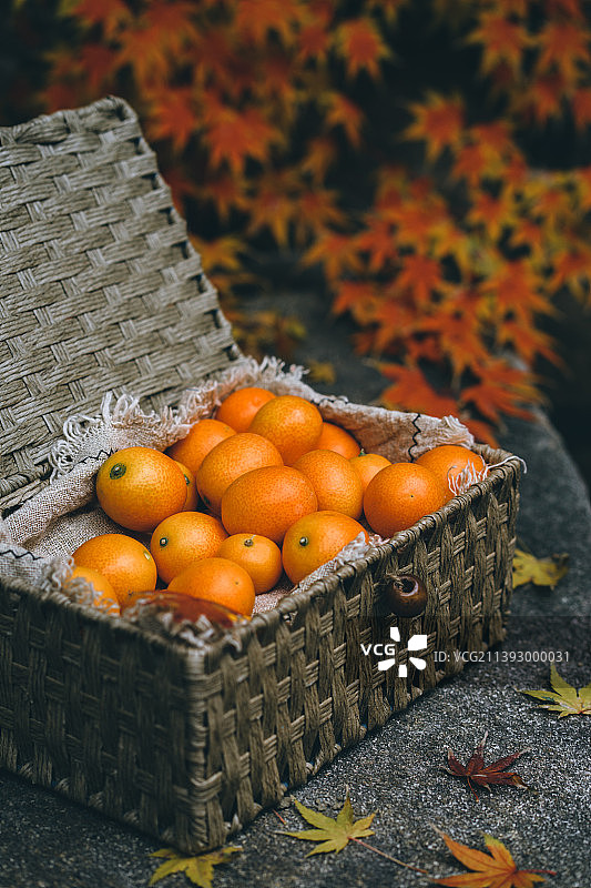 竹筐中装满新鲜的水果小金桔，落满金黄色枫叶，充满秋意图片素材