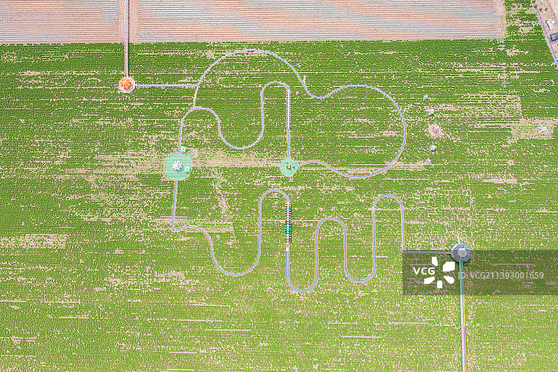 航拍黑龙江省大庆市八井子芍药花园图片素材