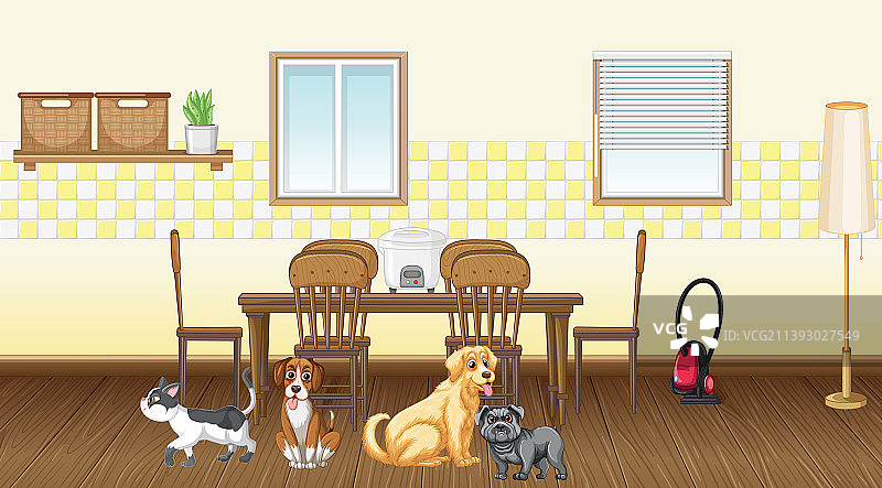 厨房里的各种家畜素材图片素材